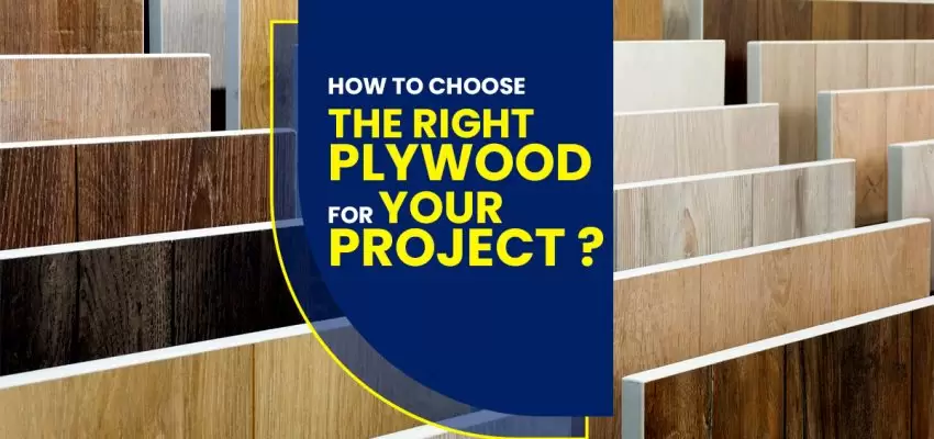 How to Choose the Right Plywood for Your Project?