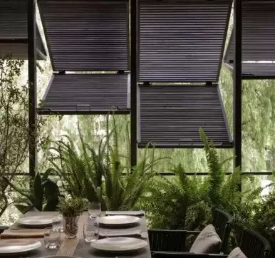 Elegant Window Louvers