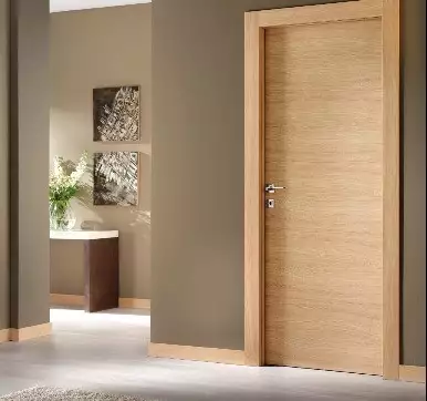 home flush door