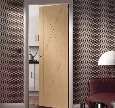 main entrance flush door