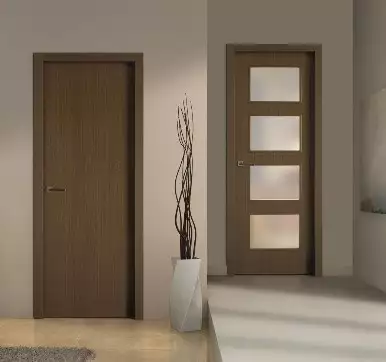 double flush door