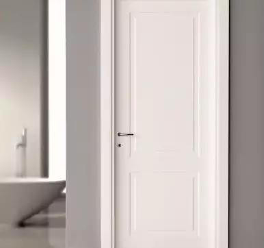 entrance flush door