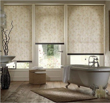 Bathroom windows with shades