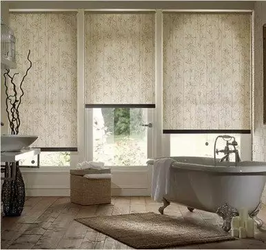 Bathroom windows with shades