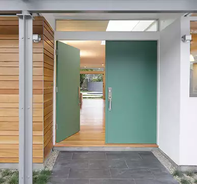 Mid century modern doors