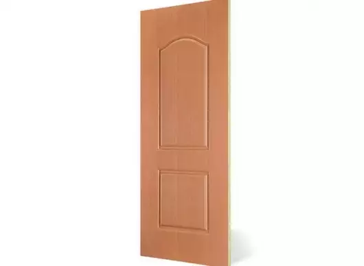 2 Panel Steam Beach ABS Door by Pratham Wood