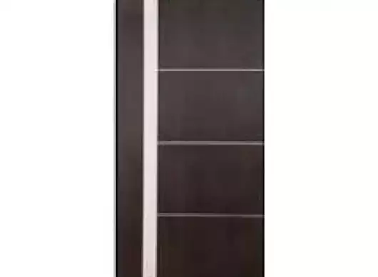 Designer Flush Door by Govind Timber Trading Company