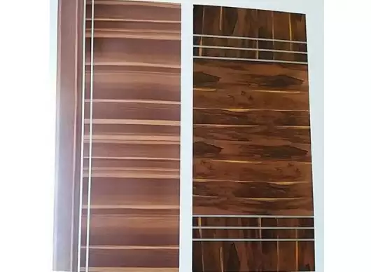 Laminated Door by Omega Doors