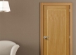 Flush Door by Greenlam Industries