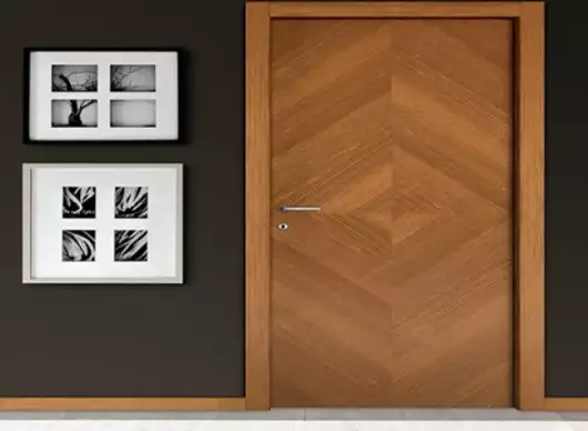 Veneer Door by Duro