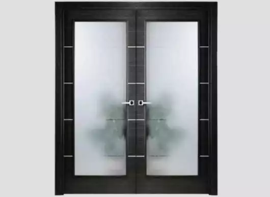 Designer Glass Door by Yuvraj Glass Industry