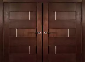 Modern Flush Door by Nemani Plywood Private Limited