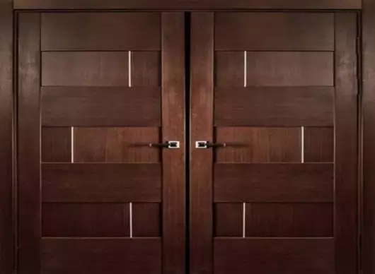 Modern Flush Door by Nemani Plywood Private Limited