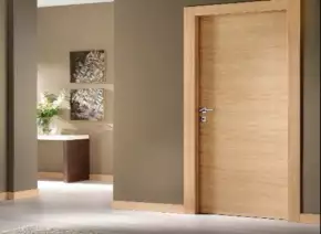 Brown Flush Door by Nemani Plywood Private Limited