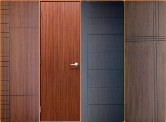 Flush Doors by Foton Decors