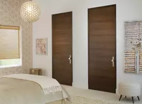 Flush Door by Lakshmi Agencies