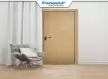 Fenesta Hybrid Doors