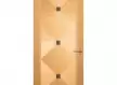 Veneer Door by Gujcon